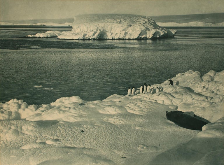 Item #114979 'An Ice Capped Islet'. Australasian Antarctic Expedition, Frank HURLEY.