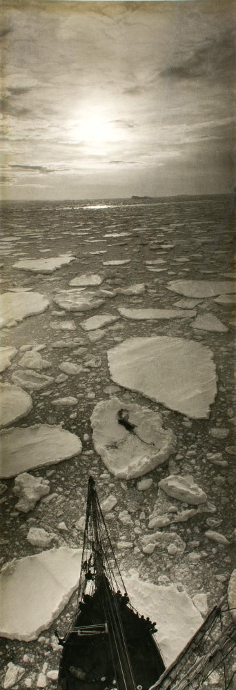 Item #115095 'Sunset off Proclamation'. A vintage gelatin silver photograph (482 × 174 mm) from the BANZARE voyages, 1929-1931. BANZARE, Frank HURLEY.