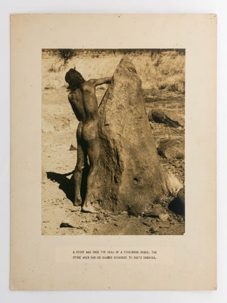 Item #115334 'A stone was once the head of a poisonous snake. The stone when rubbed causes...