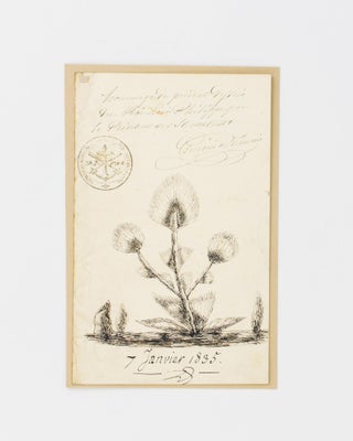 Item #115570 A manuscript document signed by Louis Philippe to the French Ambassador to Russia,...