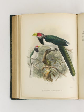 A History of the Birds of Ceylon