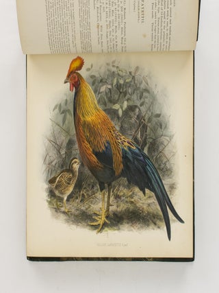 A History of the Birds of Ceylon