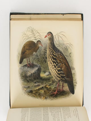 A History of the Birds of Ceylon