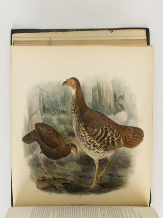 A History of the Birds of Ceylon