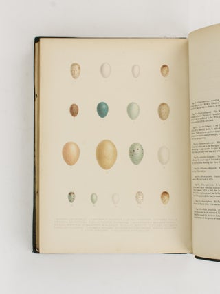 A History of the Birds of Ceylon