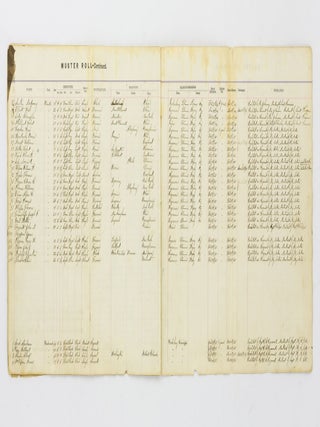 The original muster roll of A Company, 124th Regiment, Illinois Infantry