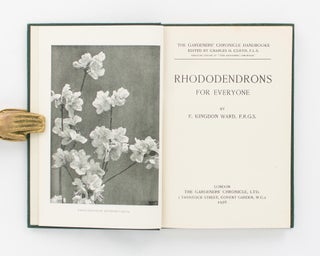 Rhododendrons for Everyone