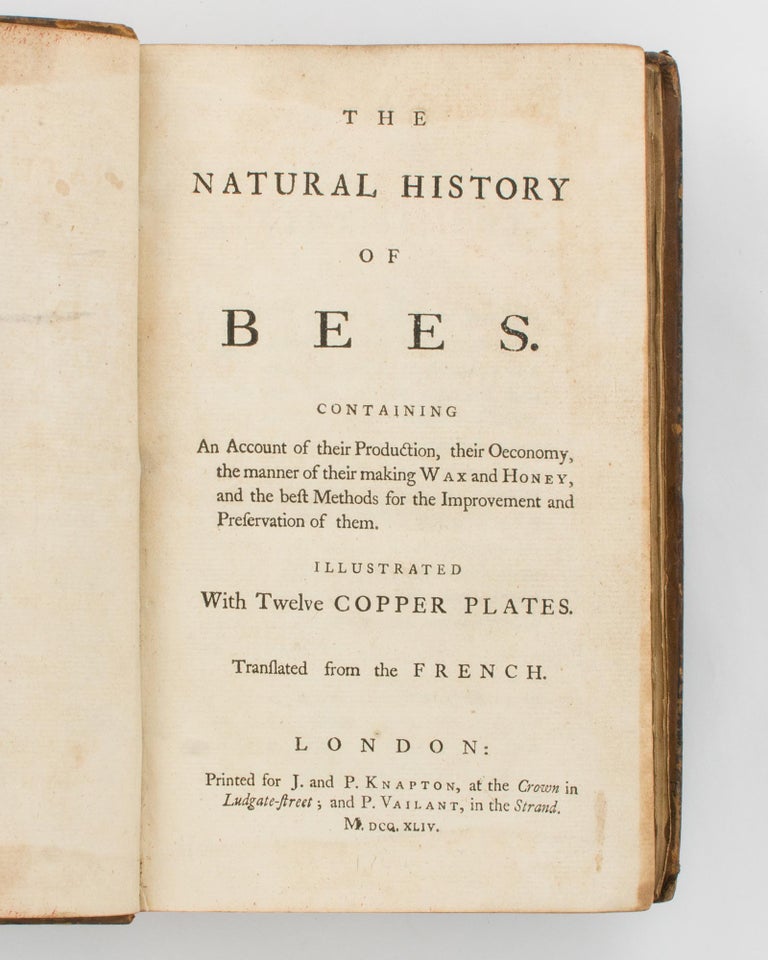 Item #117770 The Natural History of Bees. Containing an Account of their Production, their Oeconomy, the Manner of their making Wax and Honey, and the Best Methods for the Improvement and Preservation of them... Translated from the French. Gilles Augustin BAZIN, René-Antoine Ferchault de RÉAUMUR.