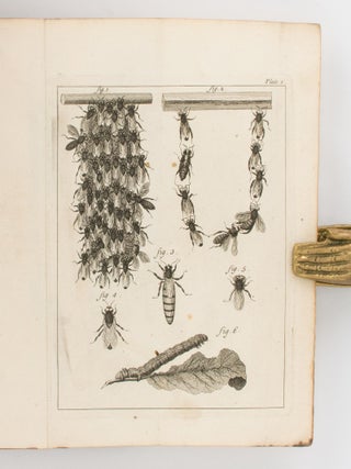 The Natural History of Bees. Containing an Account of their Production, their Oeconomy, the Manner of their making Wax and Honey, and the Best Methods for the Improvement and Preservation of them... Translated from the French