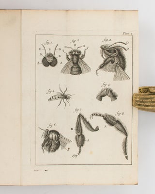 The Natural History of Bees. Containing an Account of their Production, their Oeconomy, the Manner of their making Wax and Honey, and the Best Methods for the Improvement and Preservation of them... Translated from the French