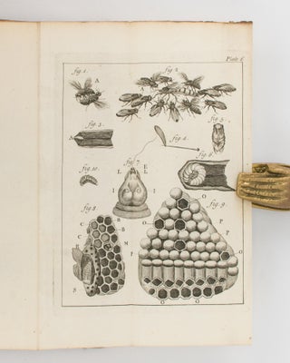 The Natural History of Bees. Containing an Account of their Production, their Oeconomy, the Manner of their making Wax and Honey, and the Best Methods for the Improvement and Preservation of them... Translated from the French