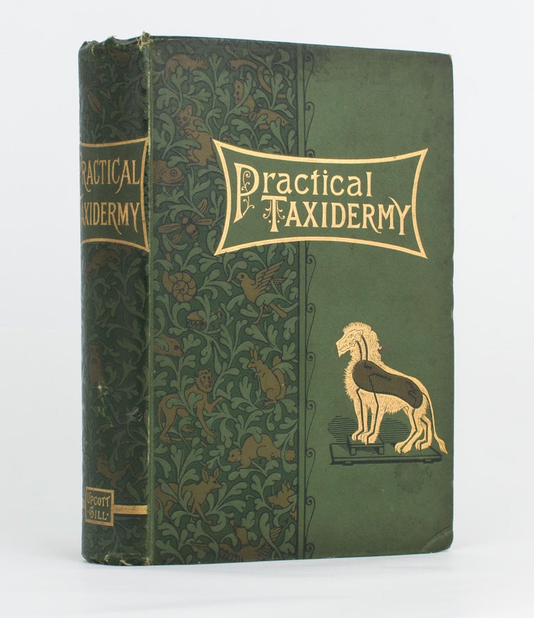 Item #117982 Practical Taxidermy. A Manual of Instruction for the Amateur in preserving, and setting up Natural History Specimens of all kinds. To which is added a chapter upon the Pictorial Arrangement of Museums... Second edition, revised and considerably enlarged, with additional Instructions in Modelling and Artistic Taxidermy. Montagu BROWNE.
