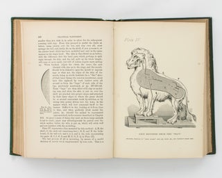 Practical Taxidermy. A Manual of Instruction for the Amateur in preserving, and setting up Natural History Specimens of all kinds. To which is added a chapter upon the Pictorial Arrangement of Museums... Second edition, revised and considerably enlarged, with additional Instructions in Modelling and Artistic Taxidermy