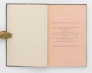 Item #118369 On the Anatomy and Life History of Mollusca peculiar to Australia. [Prize Essay, for...