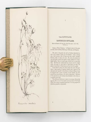 Item #120316 Plants reputed Poisonous and Injurious to Stock. F. Manson BAILEY, Patrick Robertson...