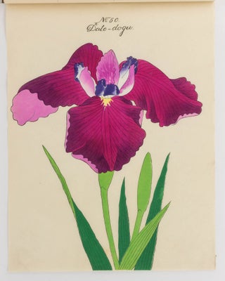 A superb catalogue containing 142 hand-coloured lithographic plates of Japanese irises, paeonies, magnolias, lycoris and maples, almost certainly issued by the Yokohama Nursery Company