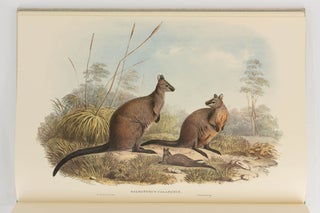 A Monograph of the Macropodidae or Family of Kangaroos
