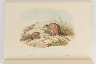 A Monograph of the Macropodidae or Family of Kangaroos