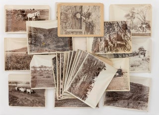 Item #122043 A collection of 23 vintage photographs of Yardea Station and environs in the Gawler...