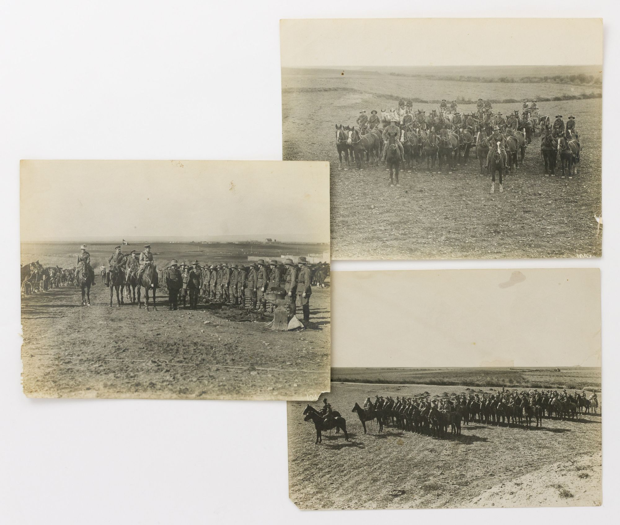 Cheauval Three vintage photographs of Australian Light Horse units in the Middle ...