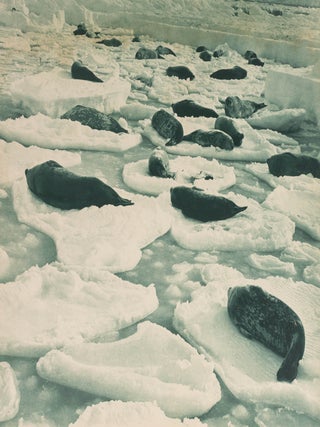 Item #122915 'A Dreamy Venice in Seal-land'. Australasian Antarctic Expedition, Frank HURLEY