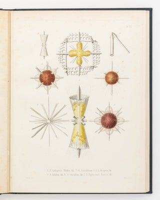 Item #123301 Die Radiolarien (Rhizopoda Radiaria). Eine Monographie von Dr Ernst Haeckel ... mit...