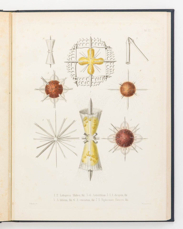 Item #123301 Die Radiolarien (Rhizopoda Radiaria). Eine Monographie von Dr Ernst Haeckel ... mit einem Atlas von fünf und dreissig Kupfertafeln. Ernst HAECKEL.