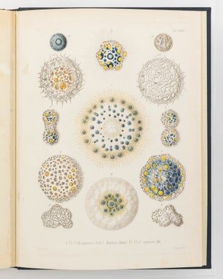 Die Radiolarien (Rhizopoda Radiaria). Eine Monographie von Dr Ernst Haeckel ... mit einem Atlas von fünf und dreissig Kupfertafeln