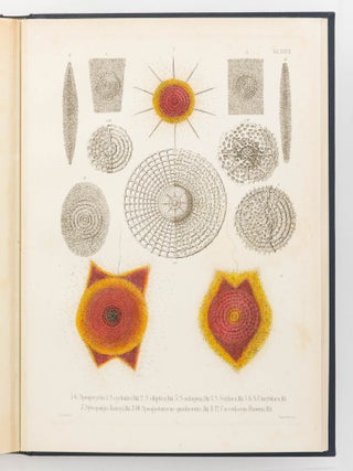 Die Radiolarien (Rhizopoda Radiaria). Eine Monographie von Dr Ernst Haeckel ... mit einem Atlas von fünf und dreissig Kupfertafeln