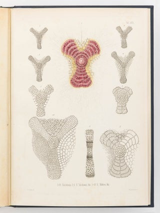 Die Radiolarien (Rhizopoda Radiaria). Eine Monographie von Dr Ernst Haeckel ... mit einem Atlas von fünf und dreissig Kupfertafeln