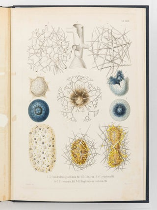 Die Radiolarien (Rhizopoda Radiaria). Eine Monographie von Dr Ernst Haeckel ... mit einem Atlas von fünf und dreissig Kupfertafeln