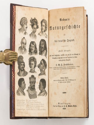 Rebau's Naturgeschichte für die deutsche Jugend