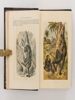 Cassell's Popular Natural History. Volume 1: Mammalia ... Volume 2: Mammalia ... Volume 3: Birds ... Volume 4: Reptiles, Fishes ...