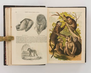 Cassell's Popular Natural History. Volume 1: Mammalia ... Volume 2: Mammalia ... Volume 3: Birds ... Volume 4: Reptiles, Fishes ...