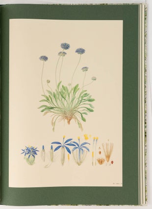 The Australian Flower Paintings of Ferdinand Bauer. With an Introduction by Wilfred Blunt