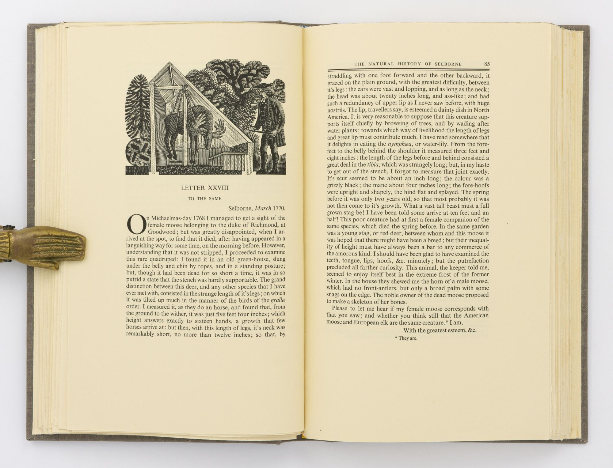 The Writings of Gilbert White of Selborne. Selected and edited by H.J ...