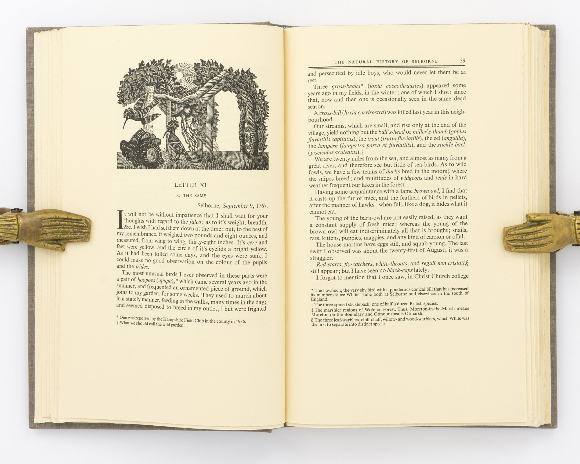 The Writings of Gilbert White of Selborne. Selected and edited by H.J ...
