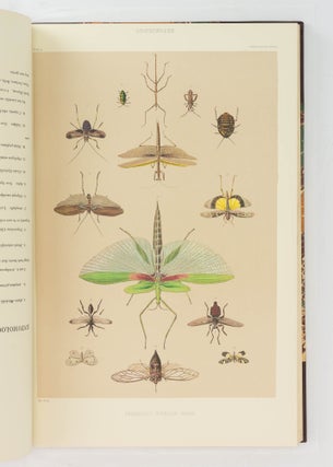 South Australia Illustrated