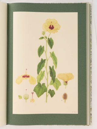The Australian Flower Paintings of Ferdinand Bauer. With an Introduction by Wilfred Blunt