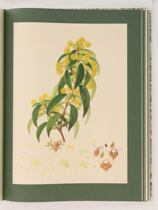 The Australian Flower Paintings of Ferdinand Bauer. With an Introduction by Wilfred Blunt