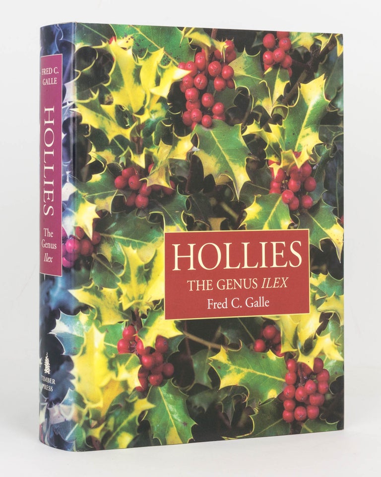 Item #124557 Hollies. The Genus Ilex. Fred C. GALLE.