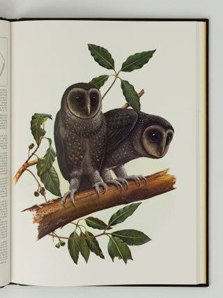 Item #124602 Nocturnal Birds of Australia. Jeremy BOOT, Richard SCHODDE, Ian J. MASON