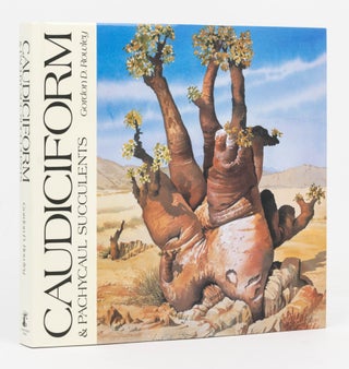 Item #126643 Caudiciform & Pachycaul Succulents. Pachycauls, Bottle-, Barrel- and...