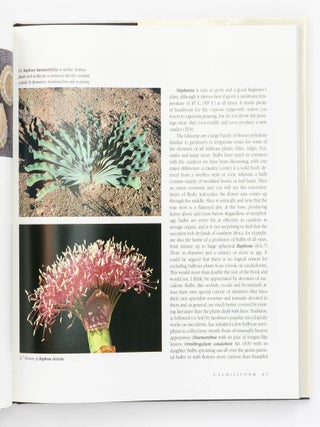 Caudiciform & Pachycaul Succulents. Pachycauls, Bottle-, Barrel- and Elephant-Trees and their Kin. A Collector's Miscellany