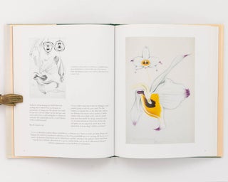 Arthur Harry Church. The Anatomy of Flowers