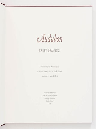Audubon. Early Drawings