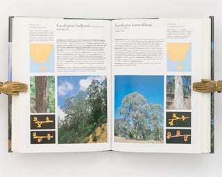 Field Guide to Eucalypts. Volume 1: South-Eastern Australia. Volume 2: South-Western and Southern Australia. Volume 3: Northern Australia