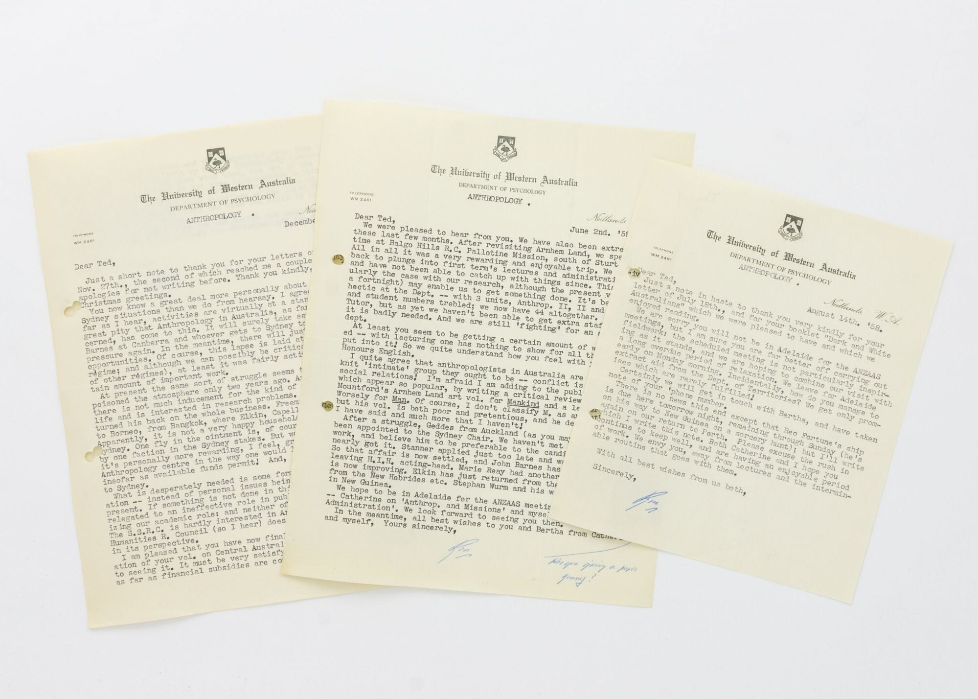 Three typed letters signed by Ronald Berndt to T.G.H. Strehlow, Reader ...