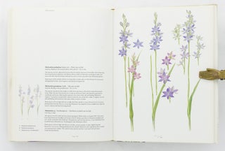 Orchids of Western Australia