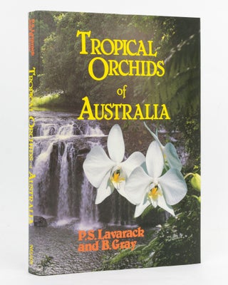 Item #127487 Tropical Orchids of Australia. P. S. LAVARACK, B. GRAY